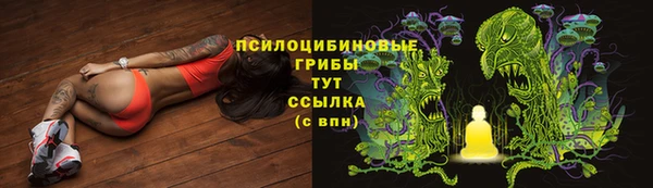 ПСИЛОЦИБИНОВЫЕ ГРИБЫ Лагань