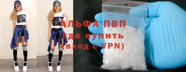 стаф Ладушкин