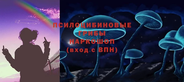 стаф Ладушкин