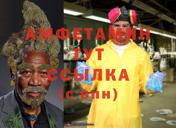 стаф Ладушкин