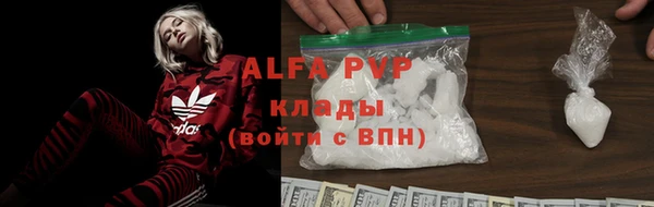 стаф Ладушкин