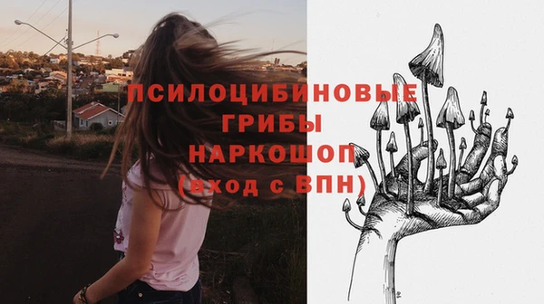 стаф Ладушкин