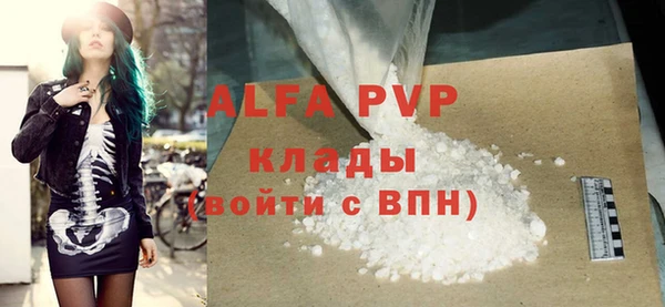 стаф Ладушкин