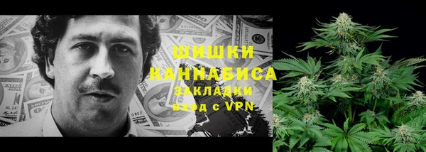 ПСИЛОЦИБИНОВЫЕ ГРИБЫ Лагань
