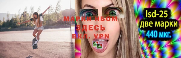 ПСИЛОЦИБИНОВЫЕ ГРИБЫ Лагань